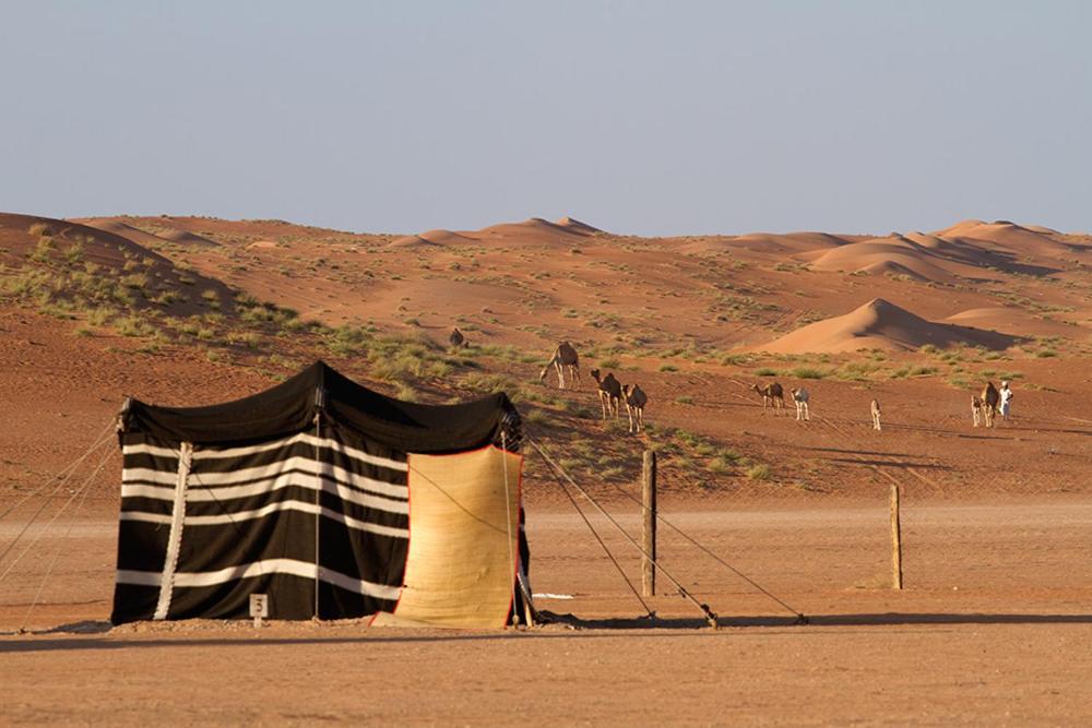 Desert Retreat Camp Al Wāşil Εξωτερικό φωτογραφία